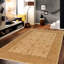 Briella Oriental Area Rug