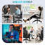 Chaise de travail Leokadia-1503948567-1503948776