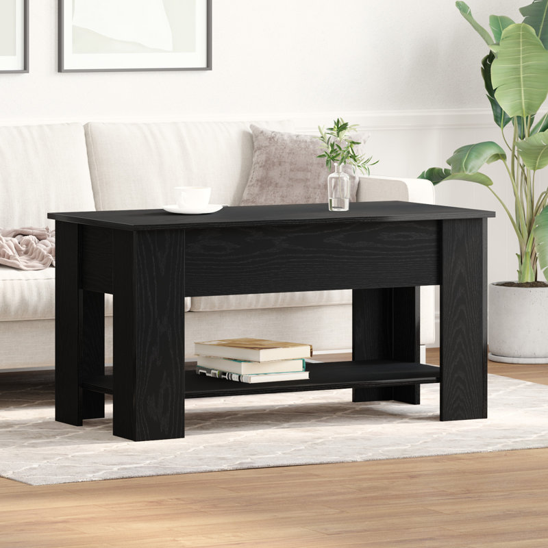 Lift Top Coffee Table with Storage, 65.50cm H x 49cm W x 101cm D