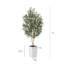 Faux olivier George avec protection UV, 2 troncs naturels, grand olivier décoratif en pot-413419794-413419797