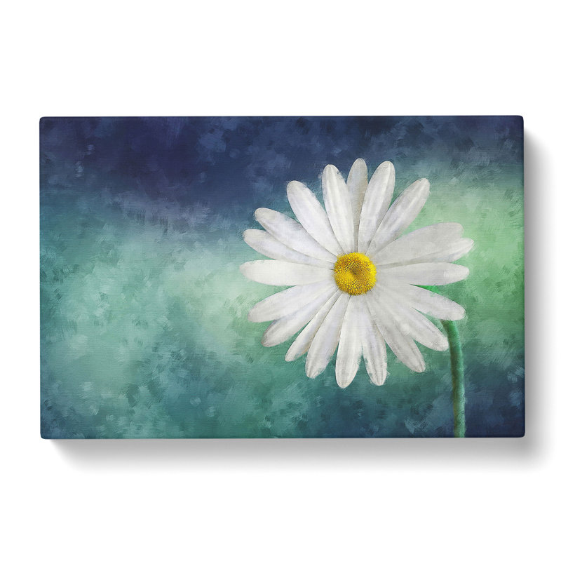 White Daisy Vol.2 - Wrapped Canvas, 40cm H x 60cm W x 3cm D