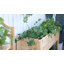 Aileene Wood Elevated Planter