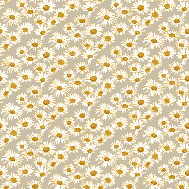 Papier peint adhésif «Daisies» par Novogratz