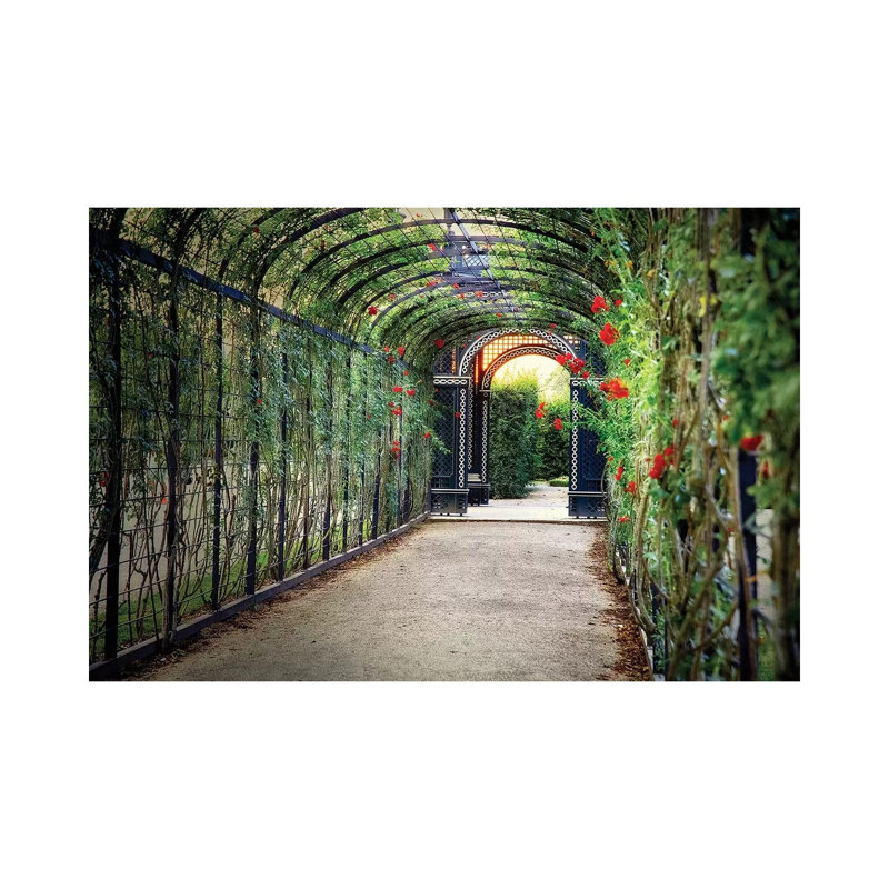 Rose Trellis In Schonbrunn Palace by George Oze - No Frame Gallery-Wrapped Canvas Giclée on Canvas, 20.32cm H x 30.48cm W