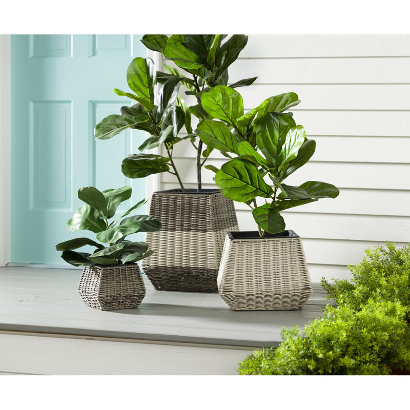 Ensemble de 3 pots à fleurs en résine tressée pour l'intérieur et l'extérieur