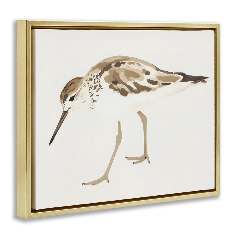 Cadre flottant Sandpiper Shore Bird, H 25 po x l 31 po, Cadre flottant métallique doré