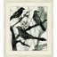 Nature's Harmony 1 Print