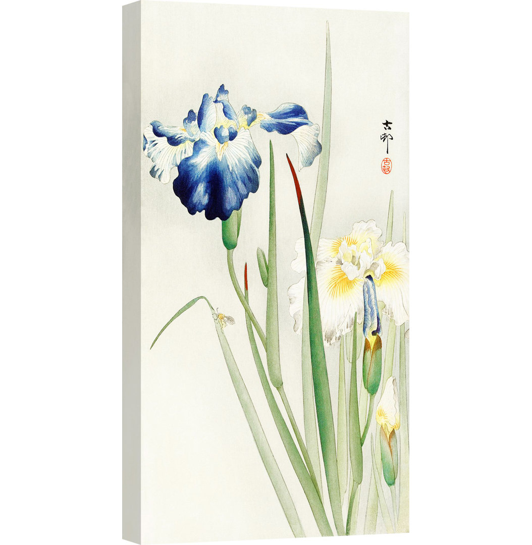 Leinwandbild Irises von Ohara Koson