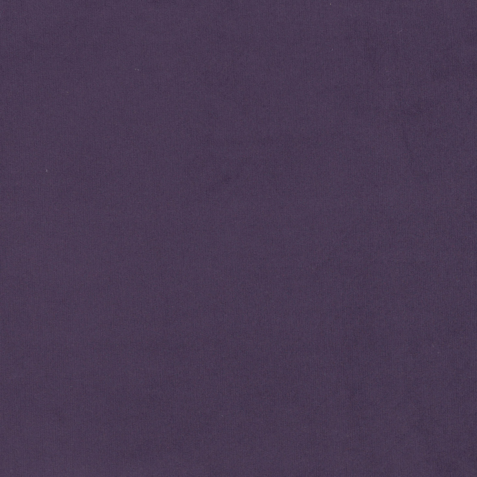 Tilly Upholstered Headboard, Twin, Classic Aubergine Velvet