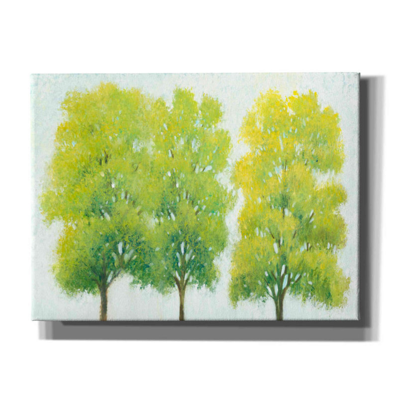 «Spring Eernal I» par Tim O'toole, art mural, H 12 po x l 16 po x P 0,75 po
