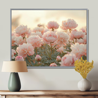 Brandov, photo de pivoines au coucher du soleil III - pivoines, art mural