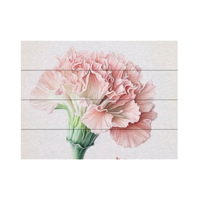 Incado Powder Pink Carnations Wood Slat Art