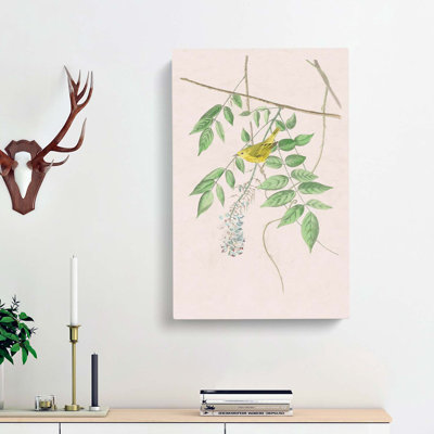 Blue-eyed Yellow Warbler by John Audubon - Wrapped Canvas