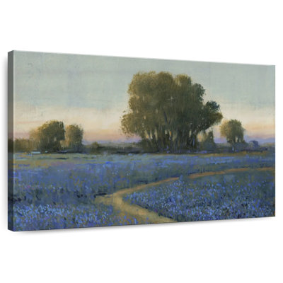 Alvord Blue Bonnet Field I