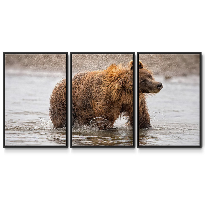 Étude de photographie Shake It Off 3 pièces, H 24 po x l 48 po x P 2 po, Noir