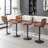 Double-Layer Upholstered Swivel Adjustable Height Bar Stool Counter Stool (Set of 4)-2069916372-2069916366