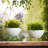 Bee Honeycomb Plastic Hanging Planter-62253644-93631318