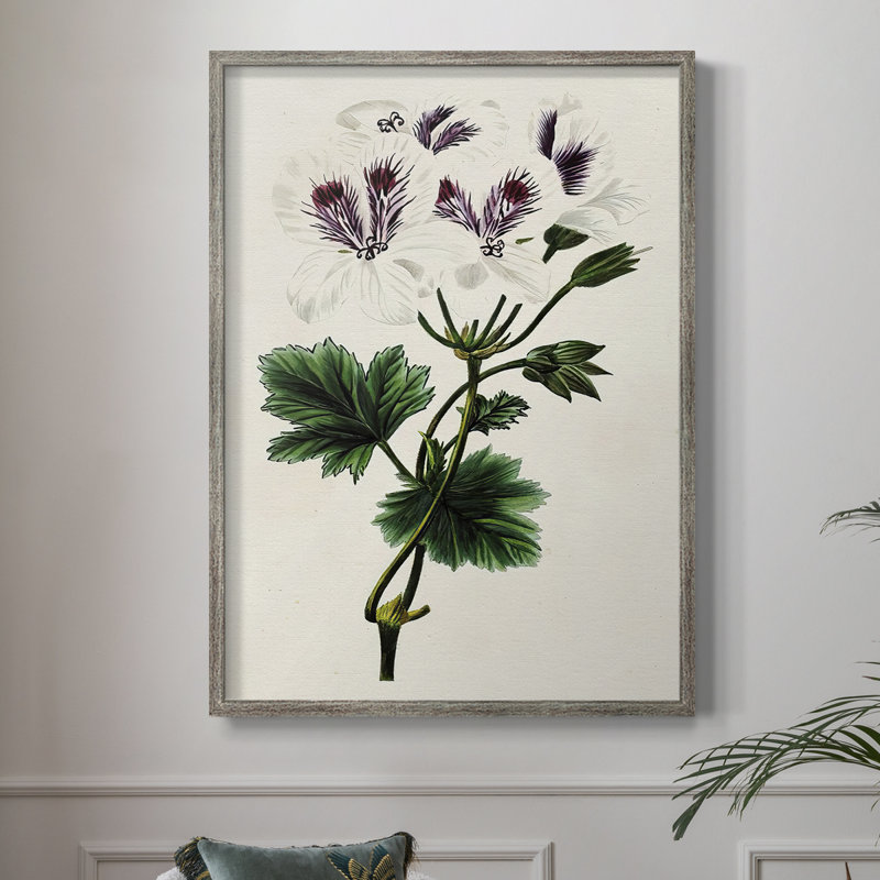 AntiqueFloralFolioIX Framed Print - Solid Wood, 15" H x 12" W