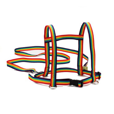 Freeport Park Lavern Plastic Outdoor Kids Game