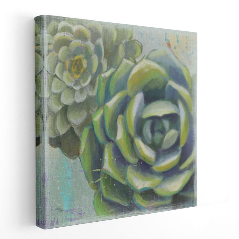 «Succulents II», reproduction d'art sur toile, H 16 po x l 16 po
