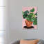 Impression d’art graphique Calatheas par Bria Nicole-53806362-53806360-53806370