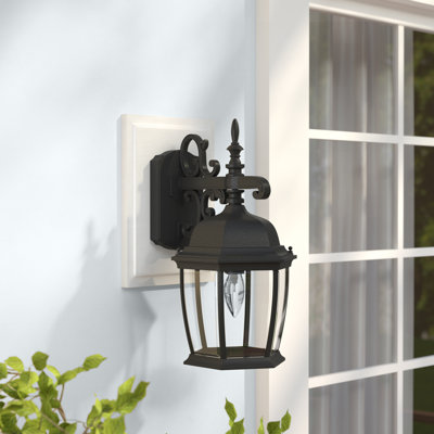 Halle Wall Light