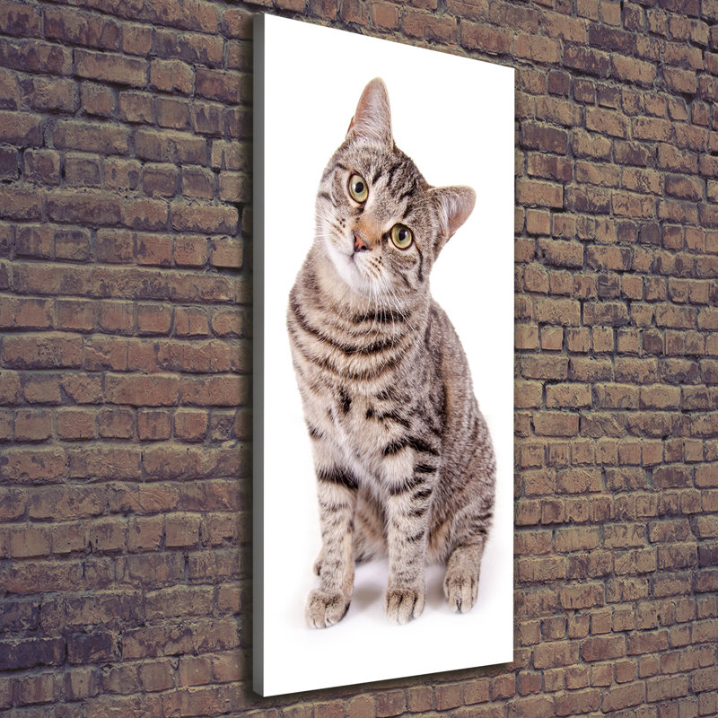 Cat - Wrapped Canvas Print