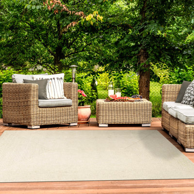 Neufeld Hand-Braided Indoor/Outdoor Area Rug