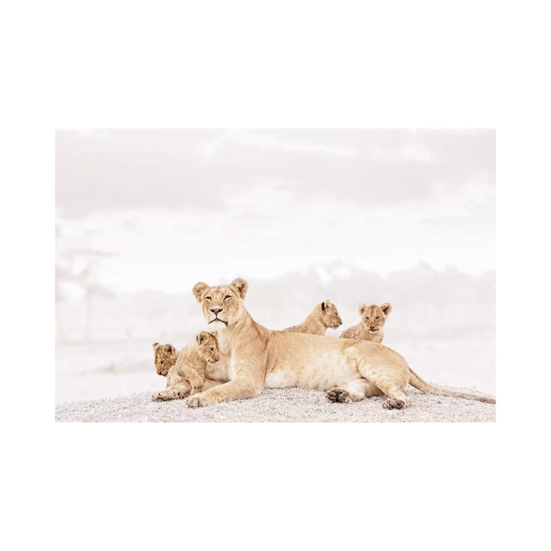 White Lioness & Cubs 1 Piece Wall Art on Canvas, 20.32 cm H x 30.48 cm W, Wrapped Canvas