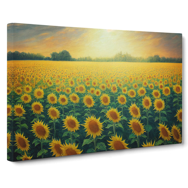 Dreamy Sunflower Field - Wrapped Canvas, 50cm H x 76cm W