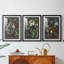 Orchard Variétés I - Impression sur mesure encadrée de qualité supérieure - 3 pièces-376314665-376314646