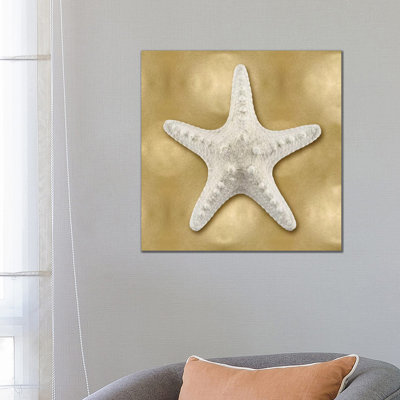 Shell On Gold VI by Caroline Kelly - Wrapped Canvas Painting