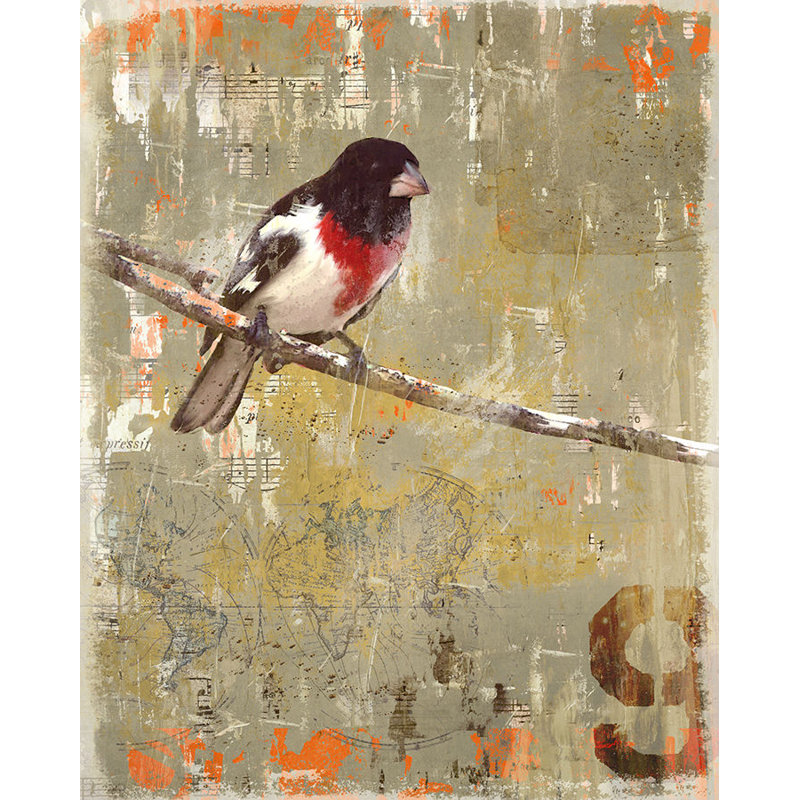 Aves 9 Print by Zoey Riley, Glass Coat, 20" H x 16" W x 1.5" D