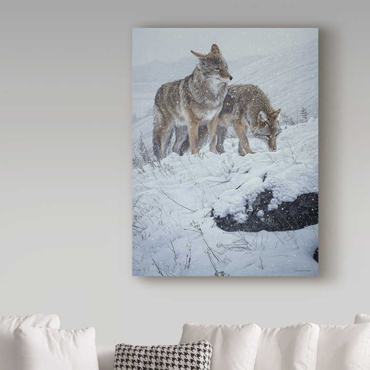 'Winter Storm Coyotes' Graphic Art Print on Wrapped Canvas