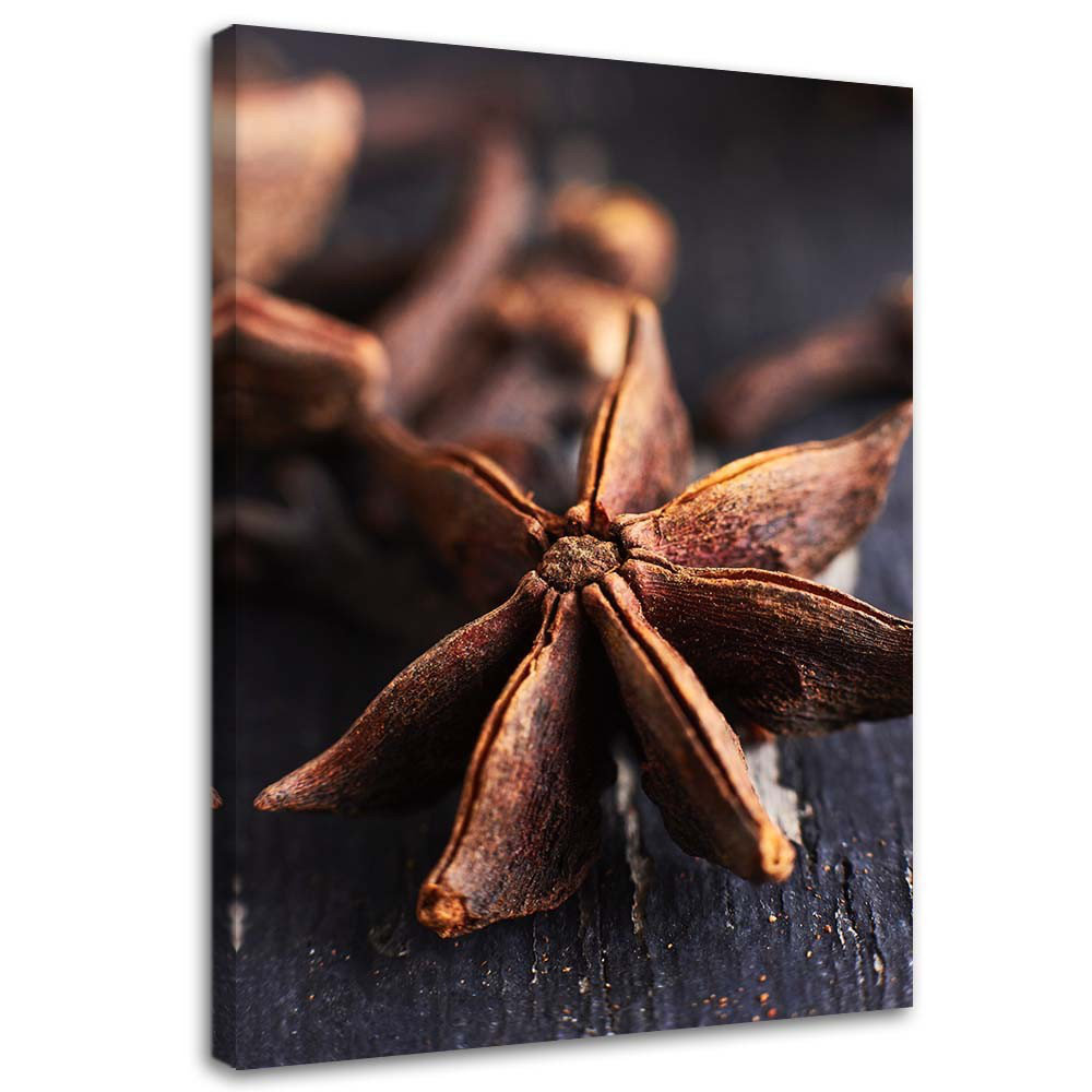 Leinwandbild Star anise