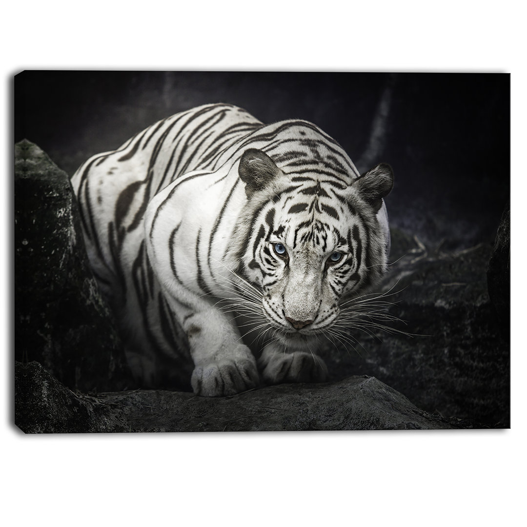 Animal White Tiger - Photograph Print East Urban Home 