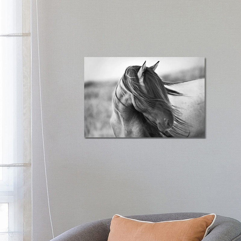 Tony Stromberg - Wrapped Canvas Print, 101.6 cm H x 66.04 cm W x 1.91 cm D, Wrapped Canvas