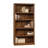 Alexsia Standard Bookcase-1345507356-1436292308