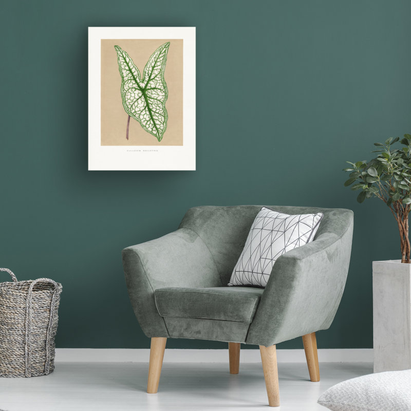 Art sur toile, "Les Plantes A", H 19 po x l 14 po