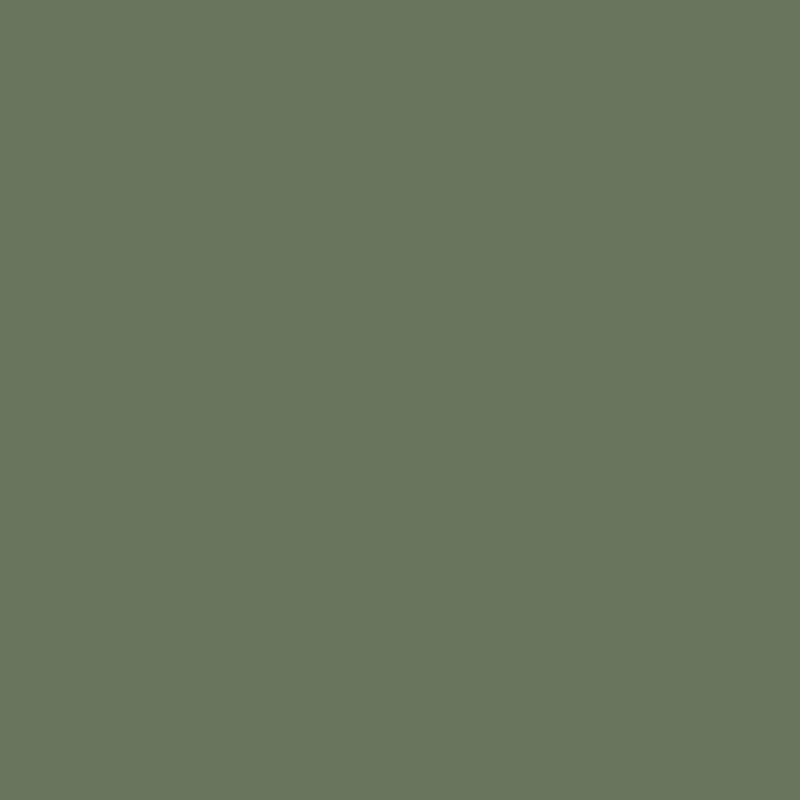 12 Piece Unscented Taper Candle Set, 12" H x 0.88" W x 0.88" D, Dark Olive