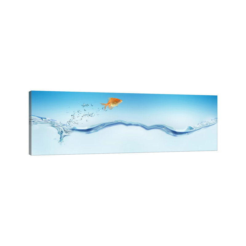 Goldfish Jumping Out Of Water by Panoramic Images - Wrapped Canvas Panoramic Print, 30.48 cm H x 91.44 cm W x 1.91 cm D