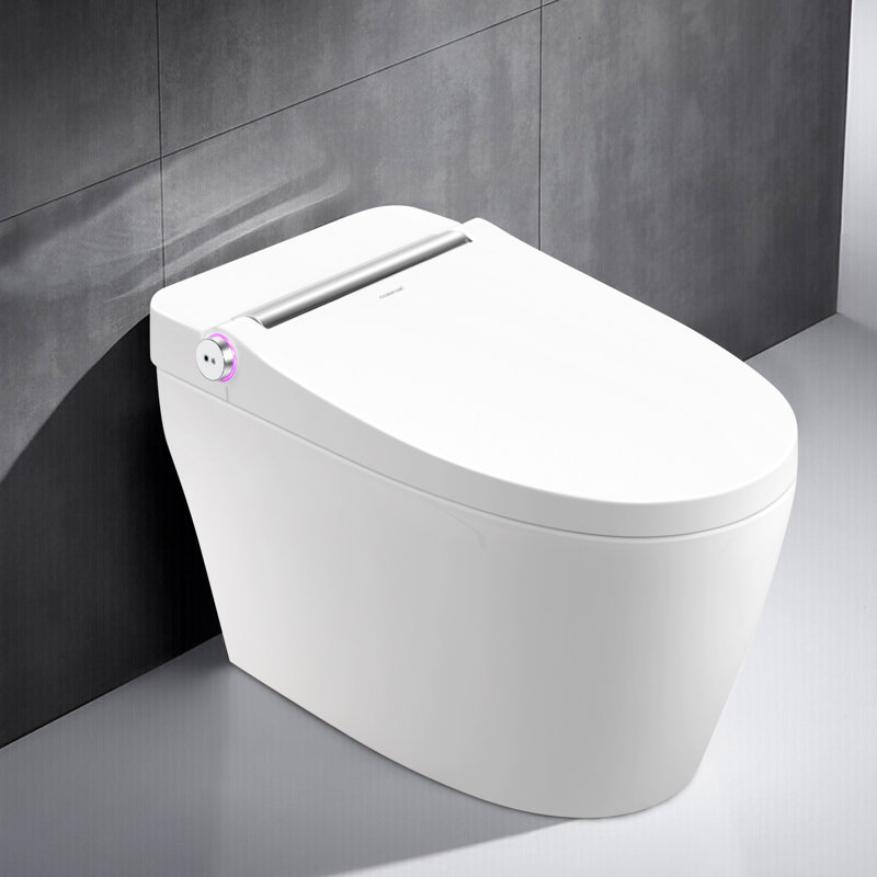 Toilette allongée une pièce Cosvalve 1,28 GPF (économe en eau) (siège inclus)