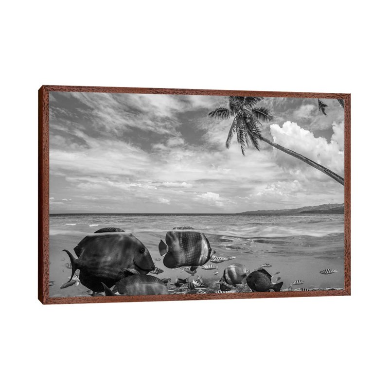 Butterflyfish Mixed Group Near Beach, Siquijor Island, Philippines, Composite Image by Tim Fitzharris - Gallery-Wrapped Canvas Giclée on Canvas