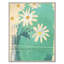 Bouquette De Marguerites Print by Paule Marrot-777012861