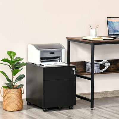 Billups 39cm Wide 2 -Drawer Mobile Steel File Cabinet