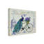 «Peacock on Bicycle», impression sur toile tendue-31330400