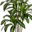 Dracaena artificiel brésilien en pot
