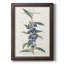 Flower Garden Varietals VI, toile encadrée de qualité supérieure - prête à être accrochée-432246996