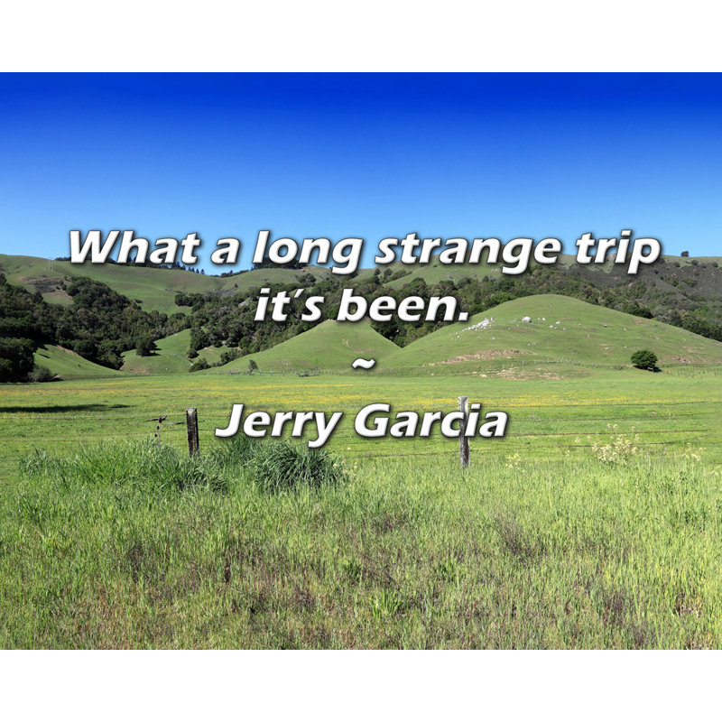 Jerry Garcia Quote: What a long strange trip it’s been.
