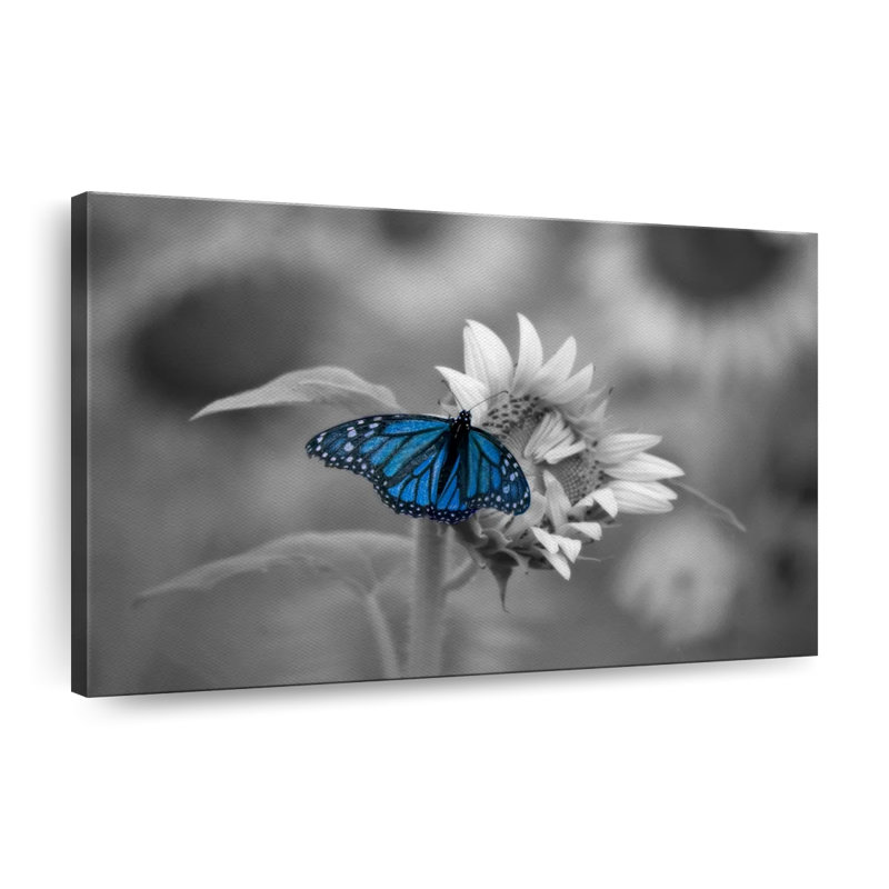 «Butterfly Pop», reproduction sur toile, L 8 po x H 12 po